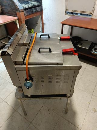 Cocina y Freidora profesional