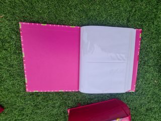 Álbum de fotos de Minnie