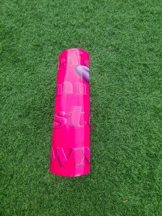 Álbum de fotos de Minnie