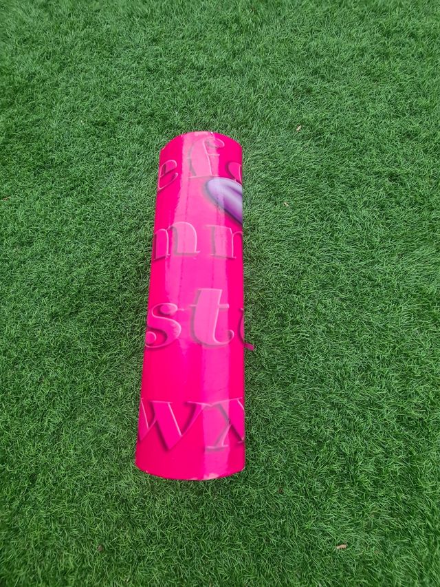 Álbum de fotos de Minnie