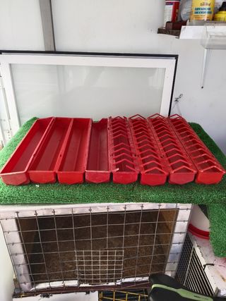 Vendo lote comederos de pollitos