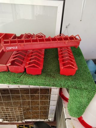 Vendo lote comederos de pollitos