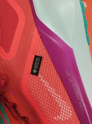 Zapatillas Nike Pegasus 41 GTX rojas