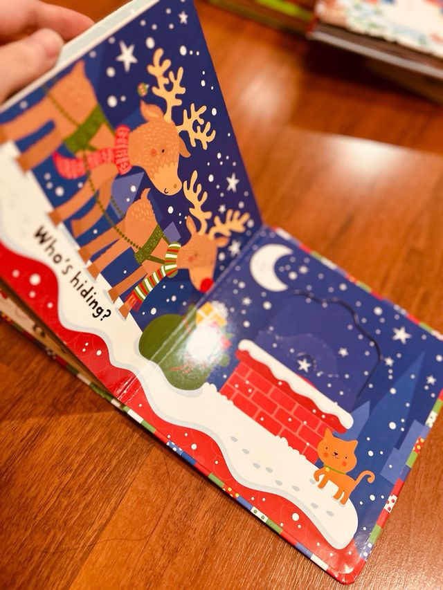 Babys Very First Slide & See Christmas