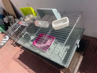 Jaula conejo / roedor