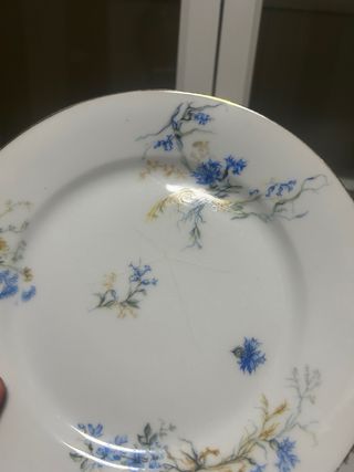 Platos de postre porcelana Vierzon