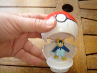 POKEMON SPIN & GO CON POKEBAL