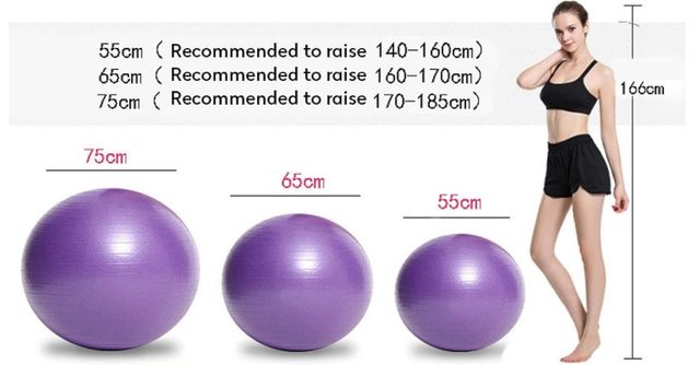 Pelota Yoga Rosa 65cm