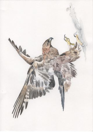 Clases de dibujo artístico