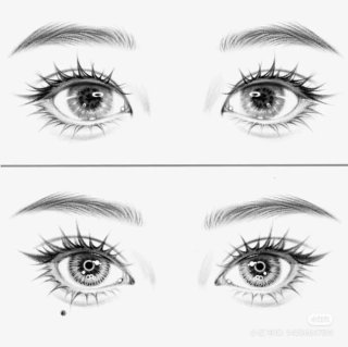 Clases de dibujo online para niños y adultos.