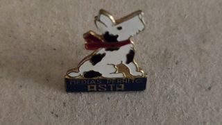 Insignia Asta.