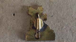 Insignia Asta.
