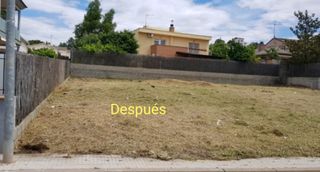 Limpieza de parcelas poda de árboles