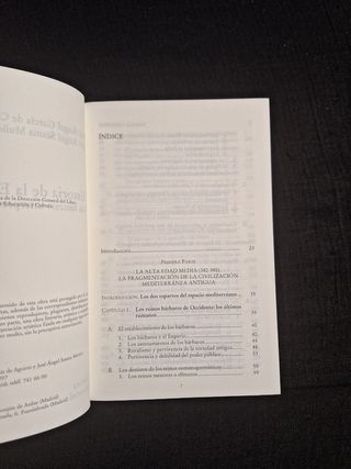 Historia de la Edad Media. Una síntesis...