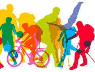 Programación Educación Física