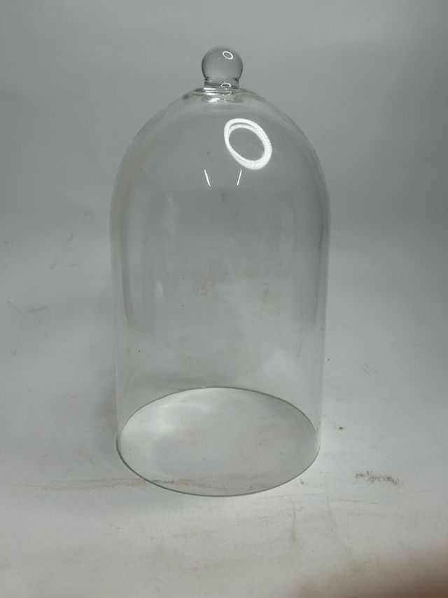 Campana di vetro