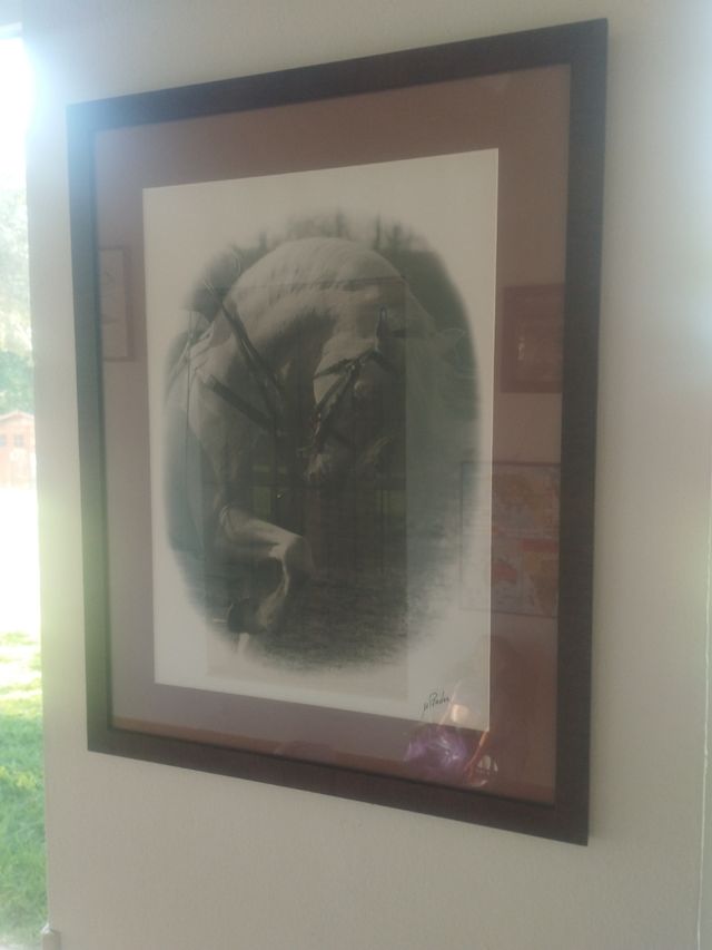 CUADRO FOTO CABALLO Prados