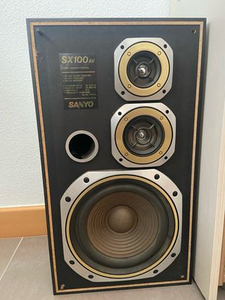 Altavoces Sanyo SX100AV con minucadena 
