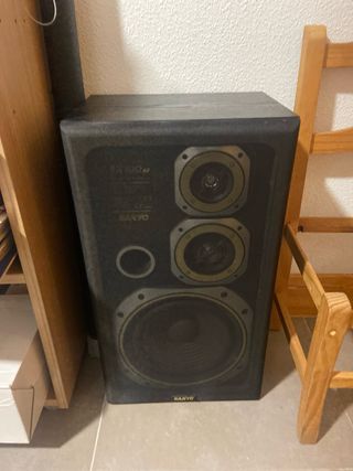Altavoces Sanyo SX100AV con minucadena 