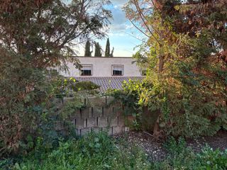 Jardineria ,desbroces y podas.