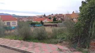 Jardineria ,desbroces y podas.