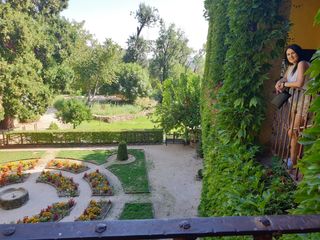 Jardineria ,desbroces y podas.