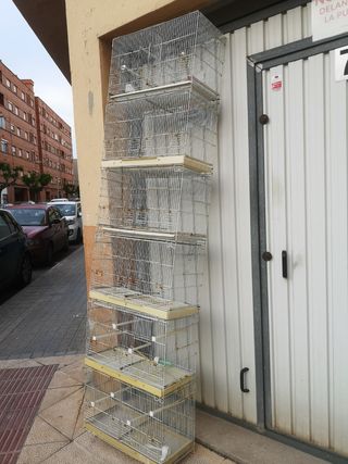 6 Jaulas Cría Canarios Blancas