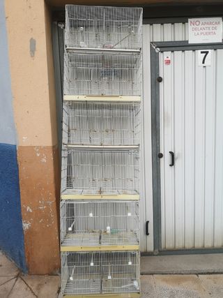 6 Jaulas Cría Canarios Blancas
