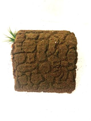 REFUGIO para serpientes, geckos, lagartos