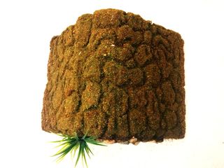 REFUGIO para serpientes, geckos, lagartos