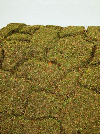 REFUGIO para serpientes, geckos, lagartos