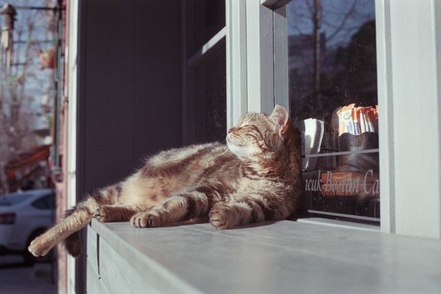 Hoya 35mm 2.8f konica monunt