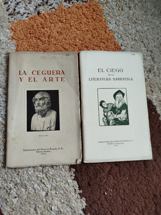 La ceguera y el arte/El ciego en la literatura