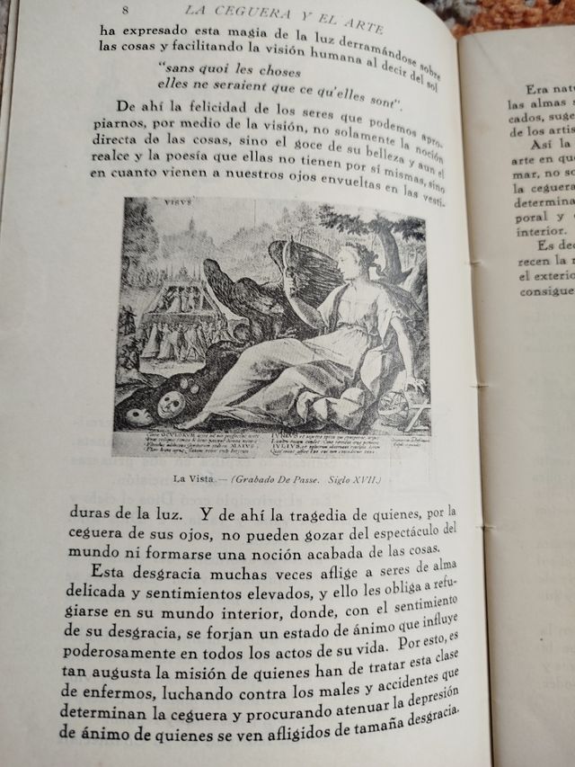 La ceguera y el arte/El ciego en la literatura