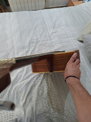 Guitarra acústica Washburn D13N