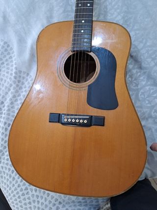 Guitarra acústica Washburn D13N