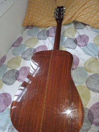 Guitarra acústica Washburn D13N