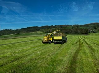 Recolectora New Holland FX38