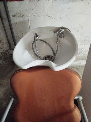 Lavacabezas portátil 