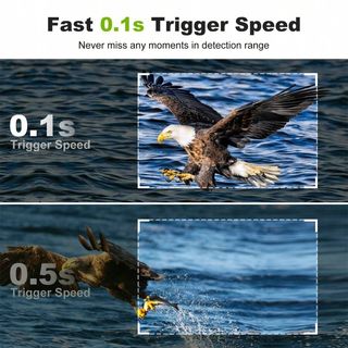 Fotocamera da Caccia Portatile Fototrappola Q9