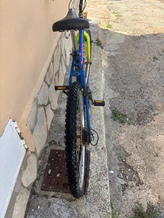 Bicicleta