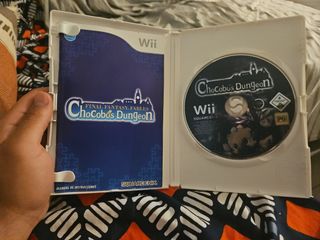 Final fantasy  Chocobo's