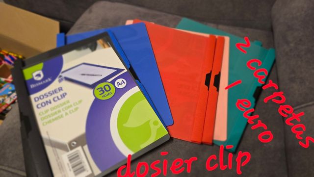 Bolígrafos BIC,carpetas A4,recambios de renglones 