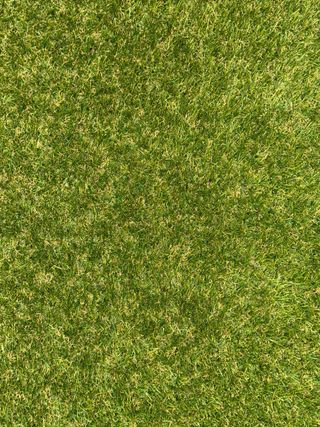 Ganga cesped artificial 25CM