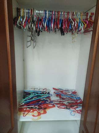 Perchas de plástico multicolor