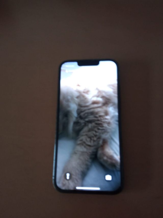 iPhone 13 Pro - Negro