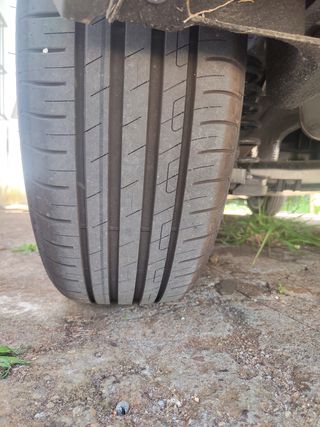 Neumático Goodyear EfficientGrip 205/55 R17 91V