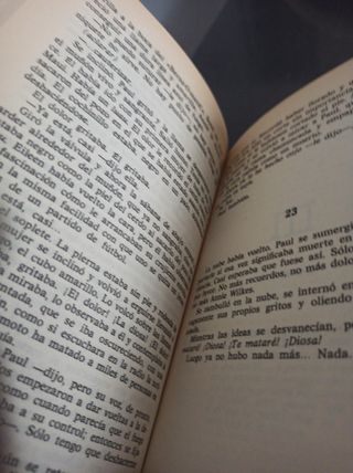 Misery (Spanish Edition)