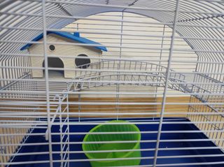 Jaula hamster