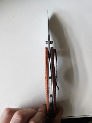 Plegable madera mango curioso